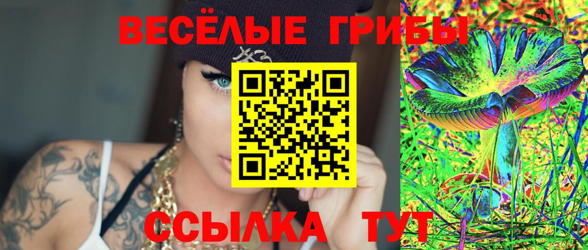 Галлюциногенные грибы Cubensis  купить закладку  Псилоцибиновые грибы Psilocybe  Унеча  Вход с VPN 